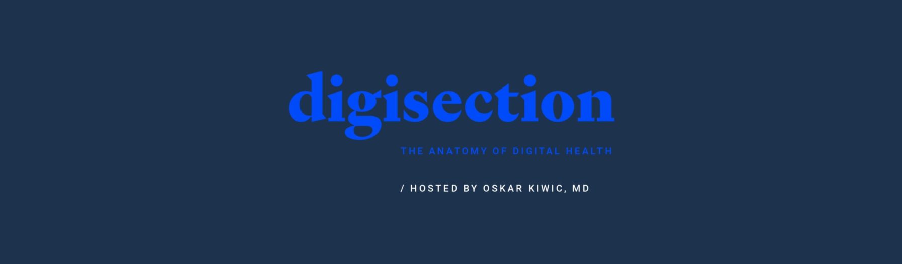  Digisection logo